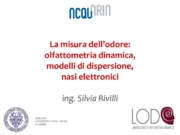 Silvia Rivilli