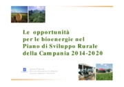 Le opportunità per le bioenergie nel Piano di Sviluppo Rurale della Campania 2014-2020