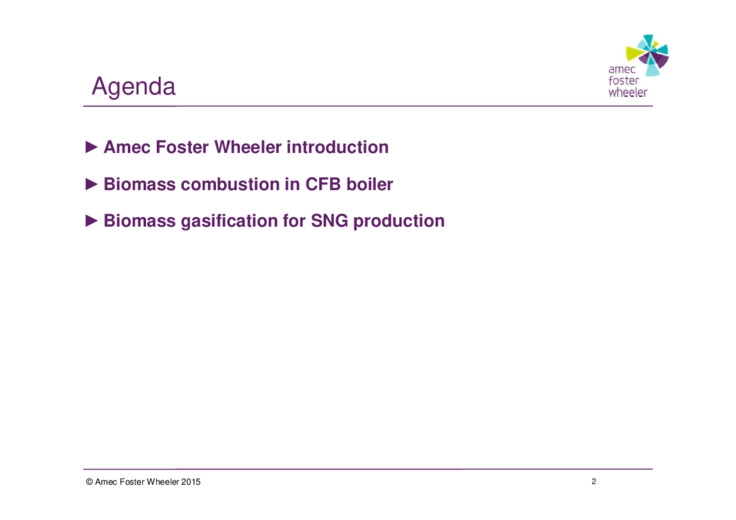 Le potenzialita della tecnologia CFB nella combustione e nei processi di gassificazione della biomassa