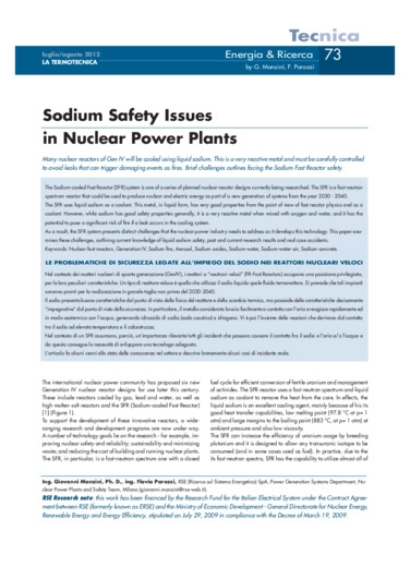 Le problematiche di sicurezza legate all'impiego del sodio nei reattori nucleari veloci