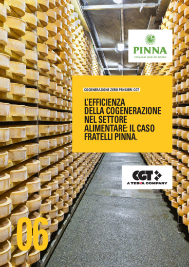 L'efficienza della cogenerazione nel settore alimentare: il caso Fratelli Pinna