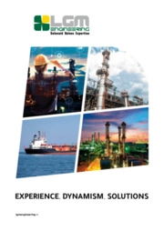 LGM ENGINEERING SRL - EXPERIENCE, DYNAMISM, SOLUTIONS
(In lingua inglese)