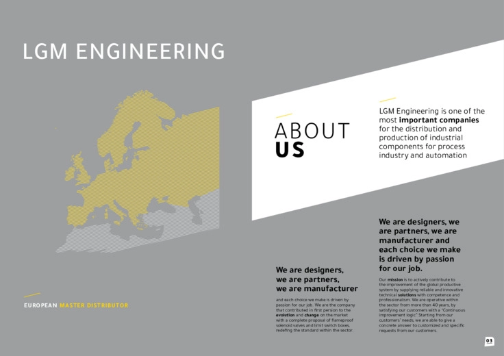 LGM ENGINEERING SRL - EXPERIENCE, DYNAMISM, SOLUTIONS<br>(In lingua inglese)