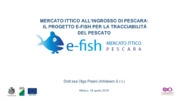 Mercato ittico allingrosso di Pescara: il progetto E-FISH per la tracciabilit del pescato