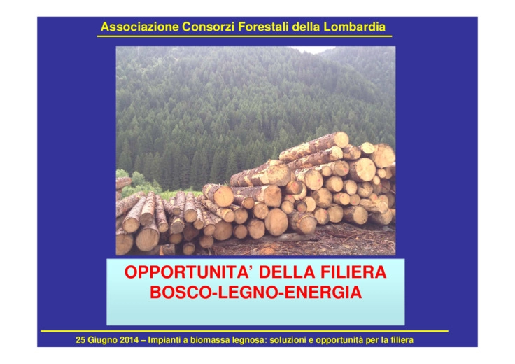 Opportunità della filiera bosco-legno-energia