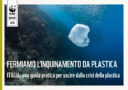 Per ridurre l'inquinamento da plastica in italia ridurre i consumi, migliorare la gestione dei rifiuti