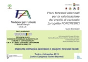 Piani forestali aziendali per la valorizzazione dei crediti di carbonio