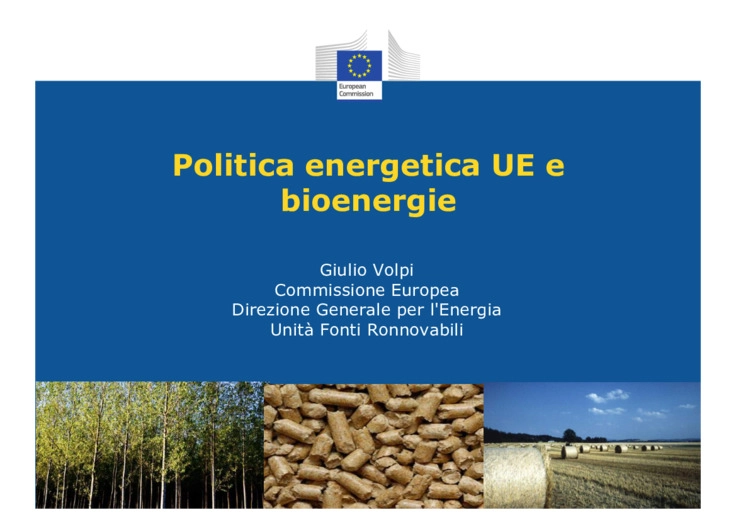 Politica energetica UE e bioenergie