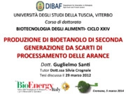 Bioenergia, Bioetanolo, Biogas, Biomasse, Digestori anaeroobici
