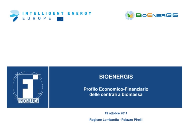 Profilo economico-finanziario delle centrali a biomassa