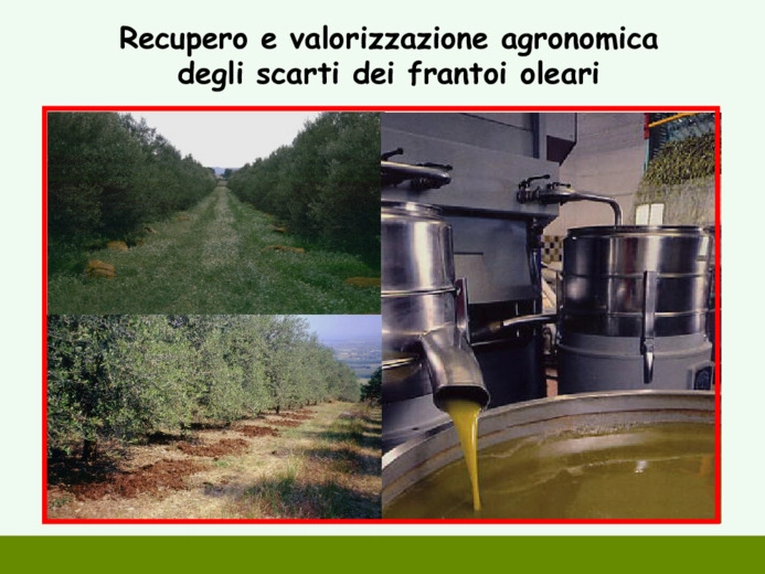 Quality asessement of simplified static method for olive mill waste composting