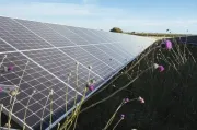 Rinnovabili in Italia: European Energy ottiene autorizzazione per parco fotovoltaico da 250 MW in Sicilia
