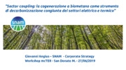Bio GNL, Biogas, Biomasse, Biometano, Cogenerazione, Cogenerazione ad Alto Rendimento, Decarbonizzazione, Finanziamenti per l