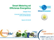 Bilancio energetico, Consumi energetici, Efficienza energetica, Smart Metering