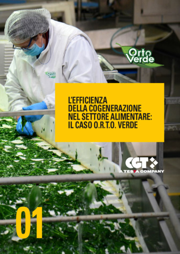 L'efficienza della cogenerazione nel settore alimentare: il caso O.R.T.O. Verde