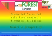 Stato dell’arte del teleriscaldamento a biomassa in Italia: numeri e