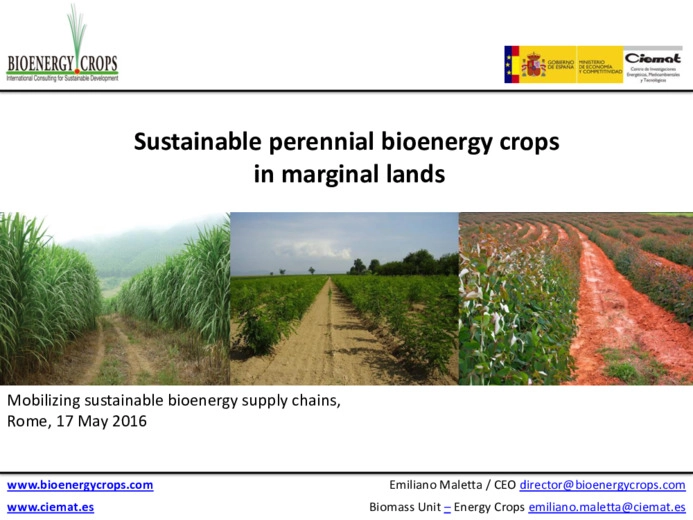 Sustainable perennial bioenergy crops in marginal lands