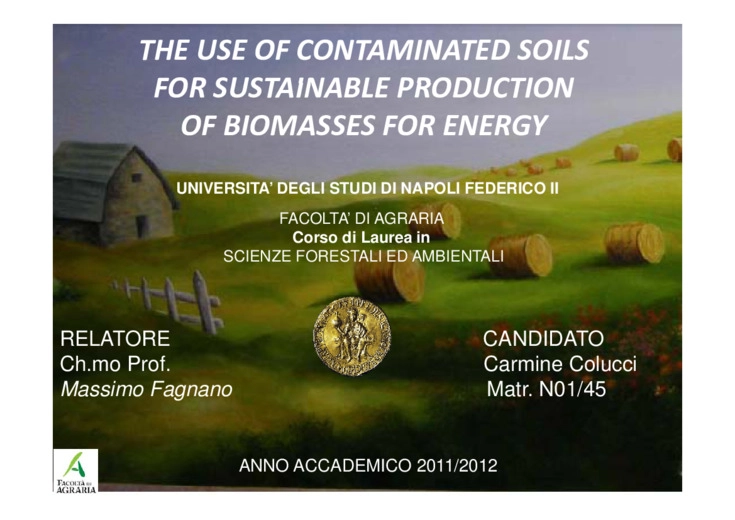 The use of contaminated soils for sustainable production of biomasses for energy