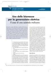 Biomasse, Rinnovabili, Termotecnica