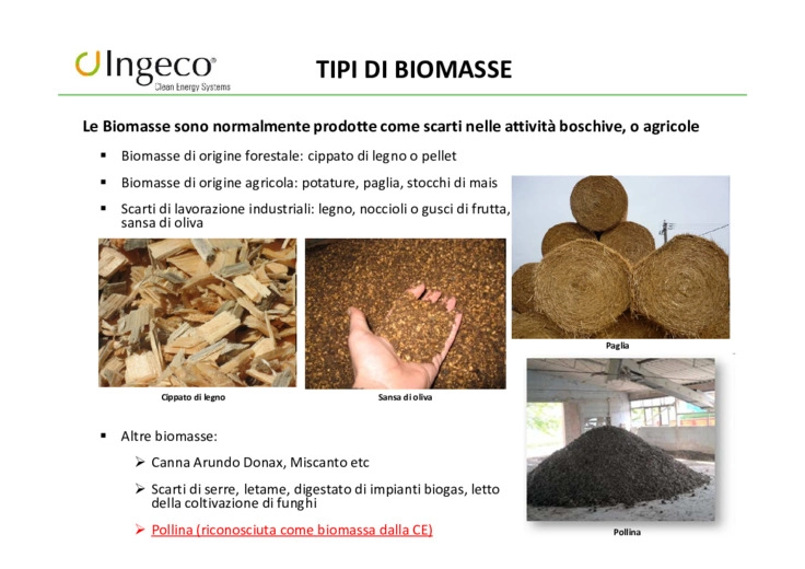 Valorizzazione energetica di biomasse legnose - l'esperienza di Vigliano Biellese