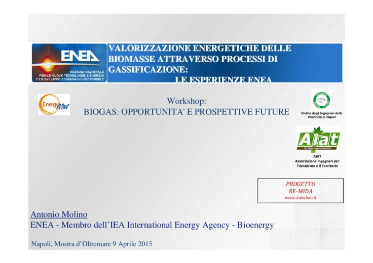 Valorizzazione energetiche delle biomasse attraverso processi di gassificazione: le esperienze ENEA