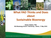 Biocarburanti, Bioenergia